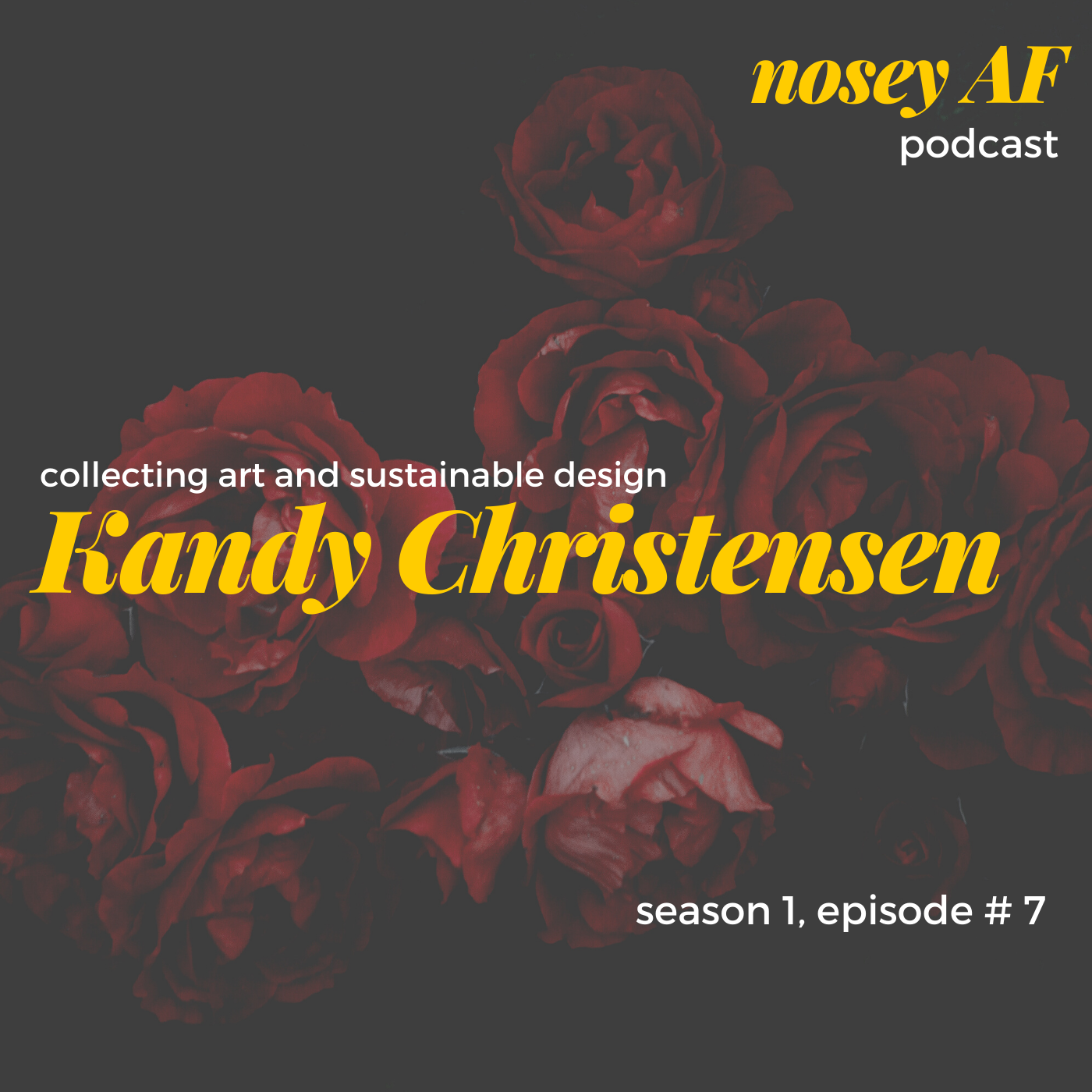 007 Collecting Art and Sustainable Design with Kandy Christensen of Meandering Design