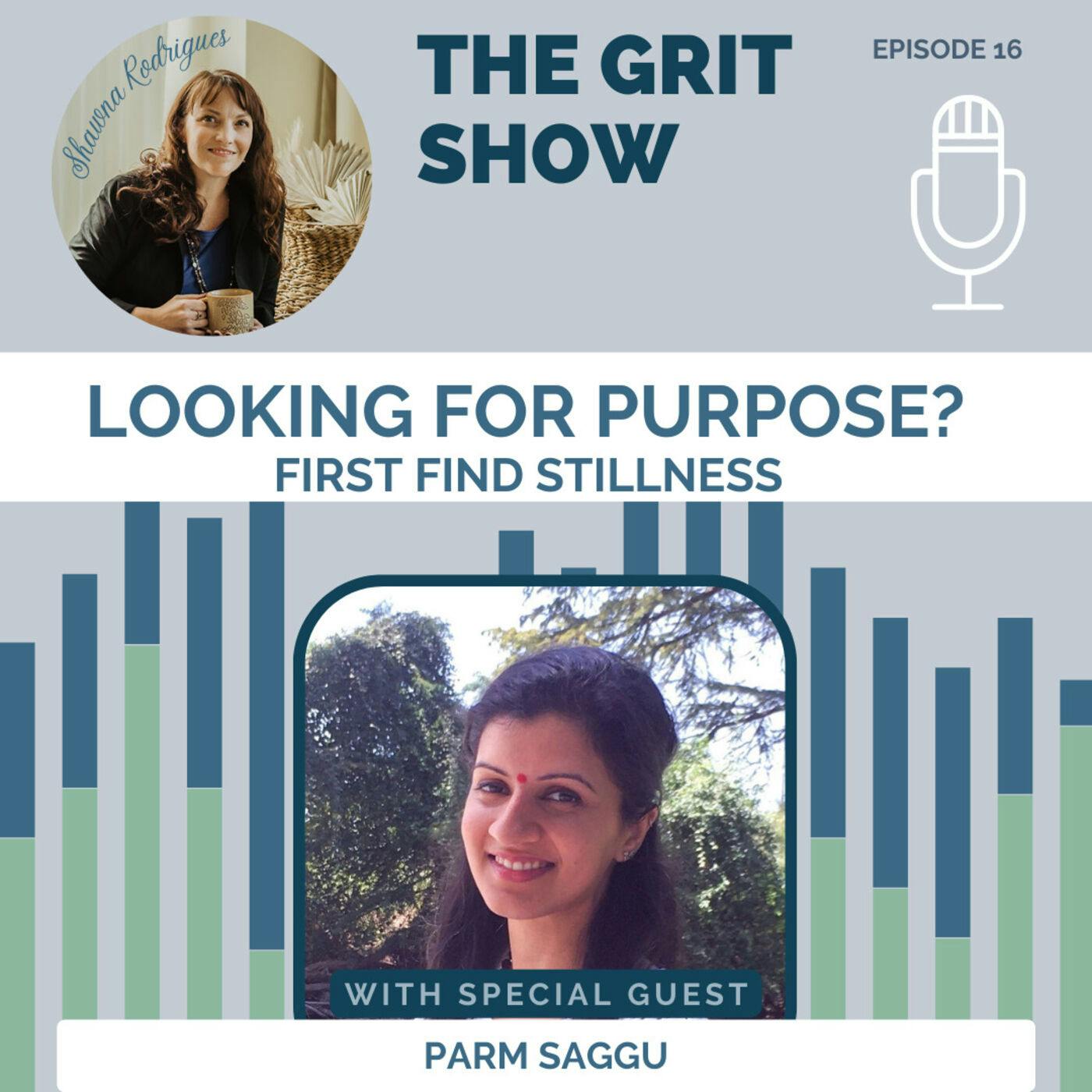 Looking for Purpose? First Find Stillness w/Parm Saggu -16