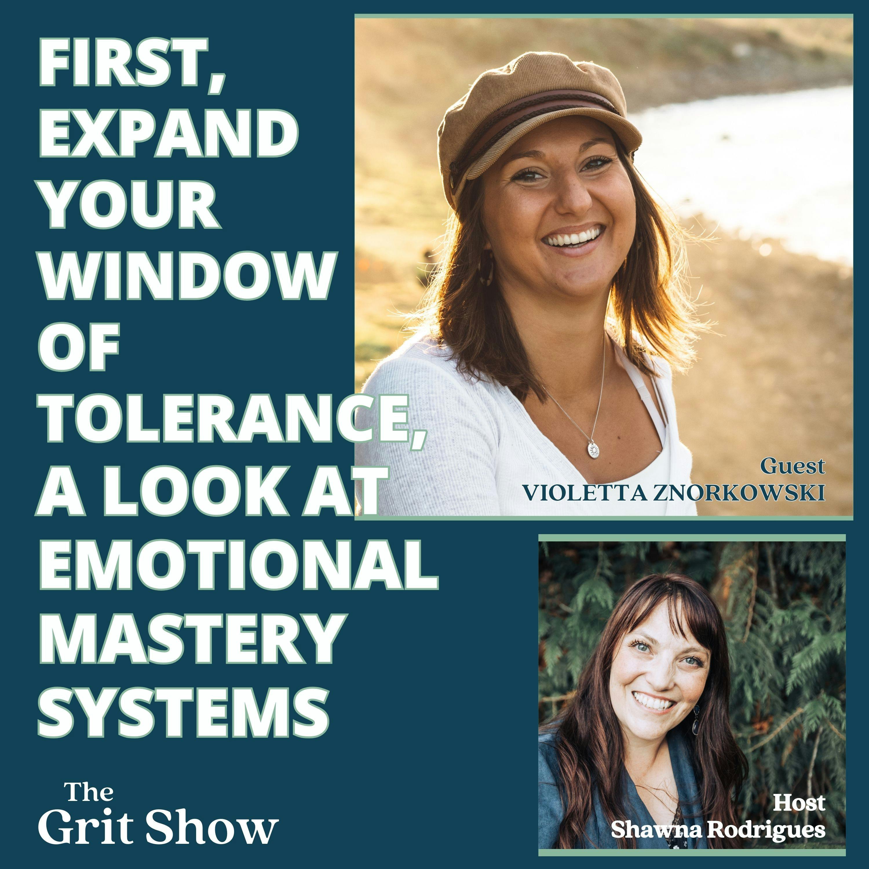 First, Expand Your Window of Tolerance, a Look at Emotional Mastery Systems -77