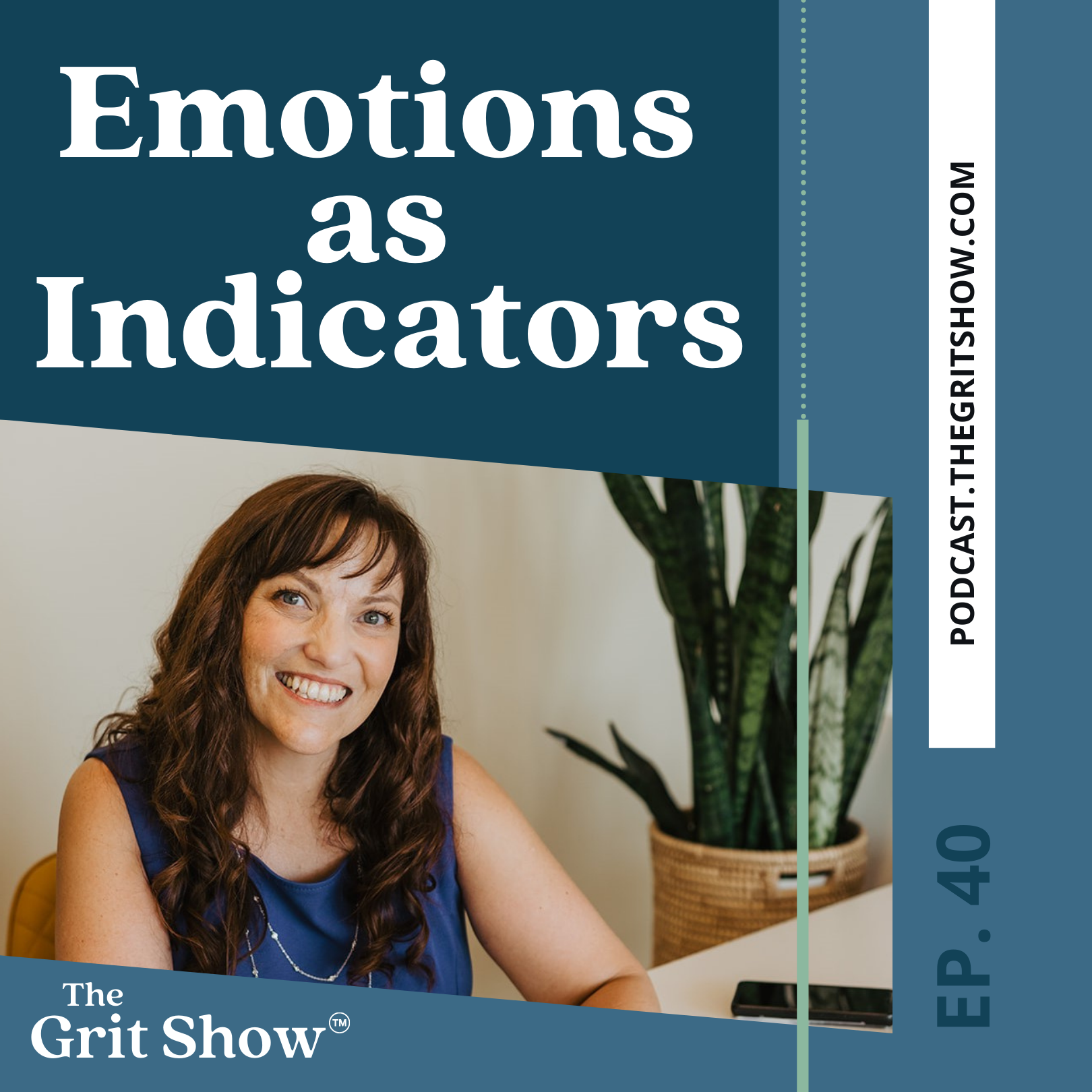 Emotions as Indicators -40