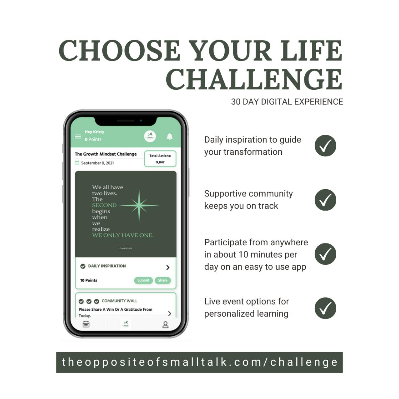 Recommending: "Choose Your Life Challenge" from The Opposite of Small Talk