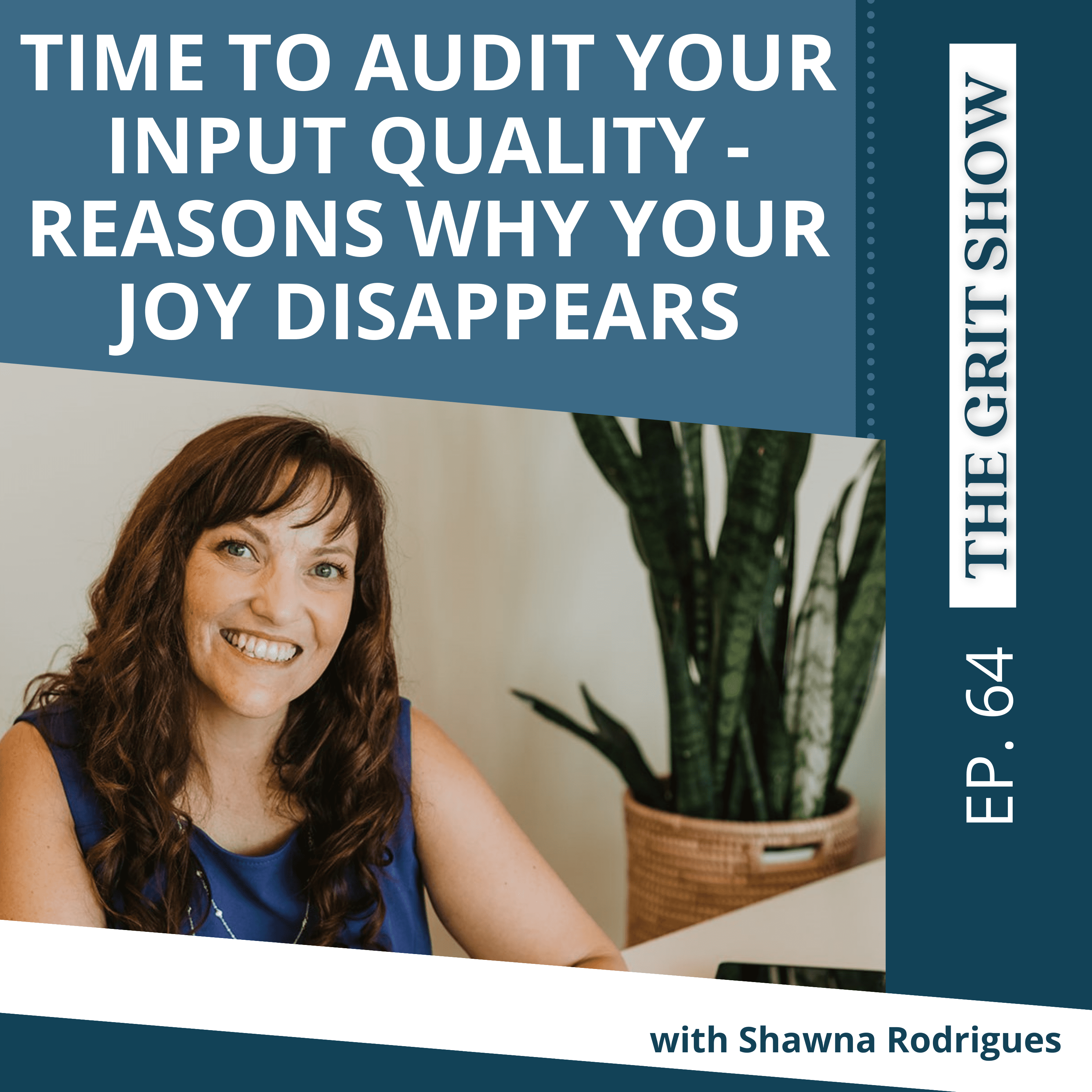 Time to Audit your Input Quality- Reasons Why Your Joy Disappears -64