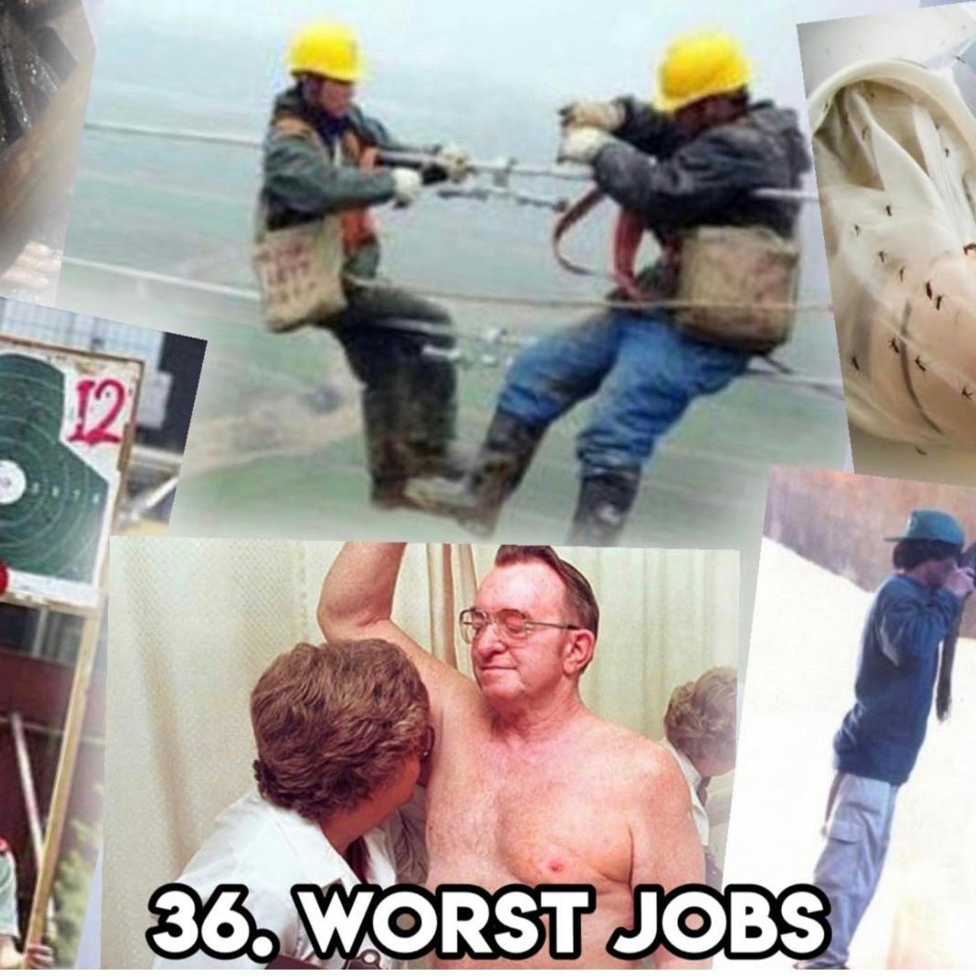 36. WORST JOBS EVER (with Bethany Dwyer Comedian, Writer, Producer)