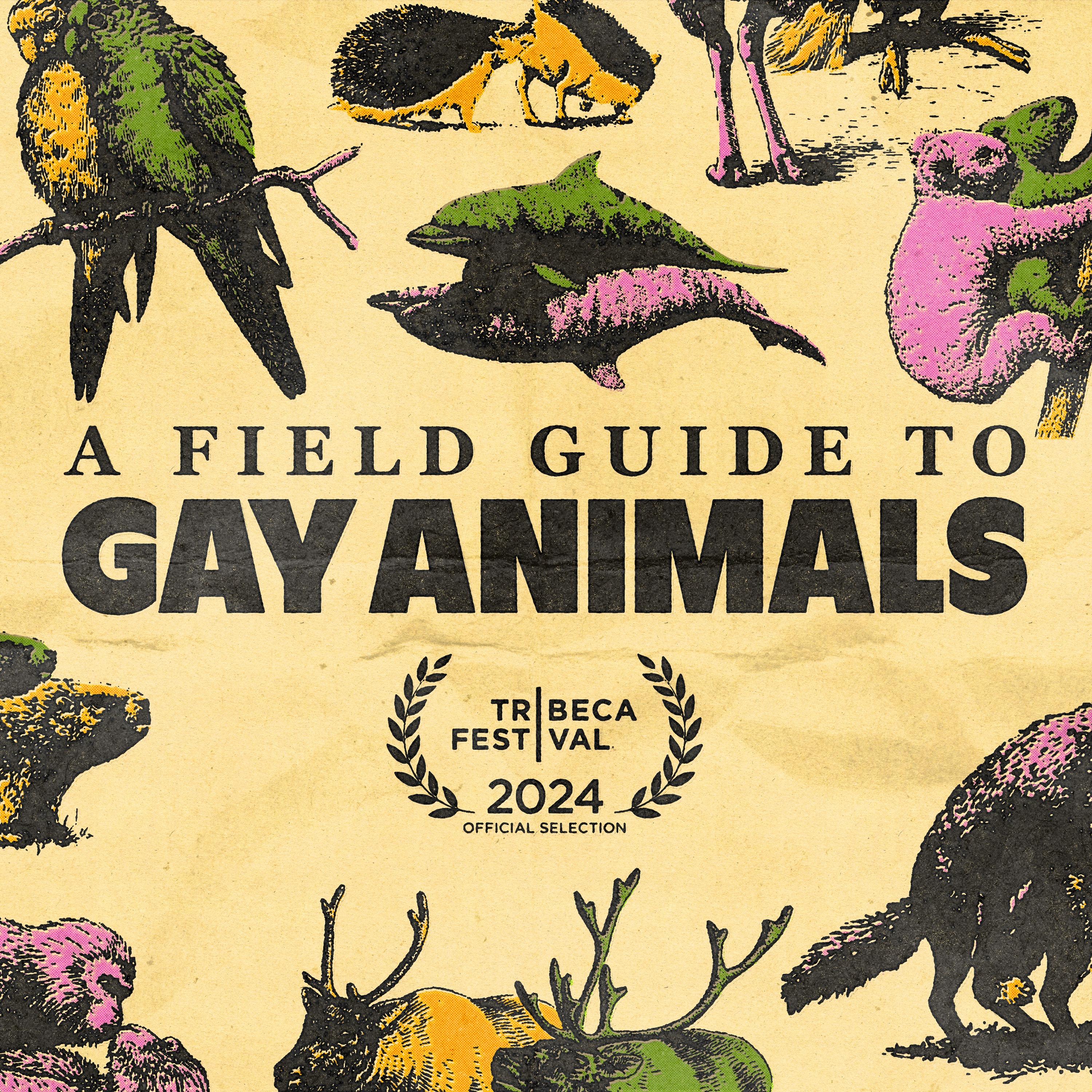 Introducing A Field Guide to Gay Animals