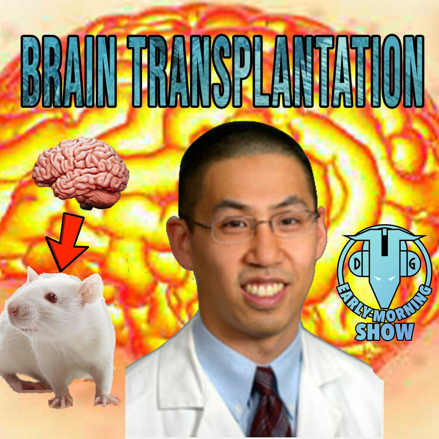 How this scientist transplanted a human brain organoid into a rat!! ft. Dr. Isaac Chen