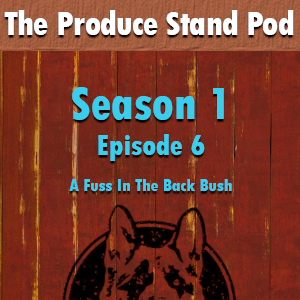 TPS7: A Fuss in the Back Bush