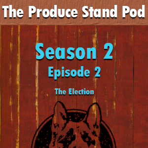 TPS11: The Election