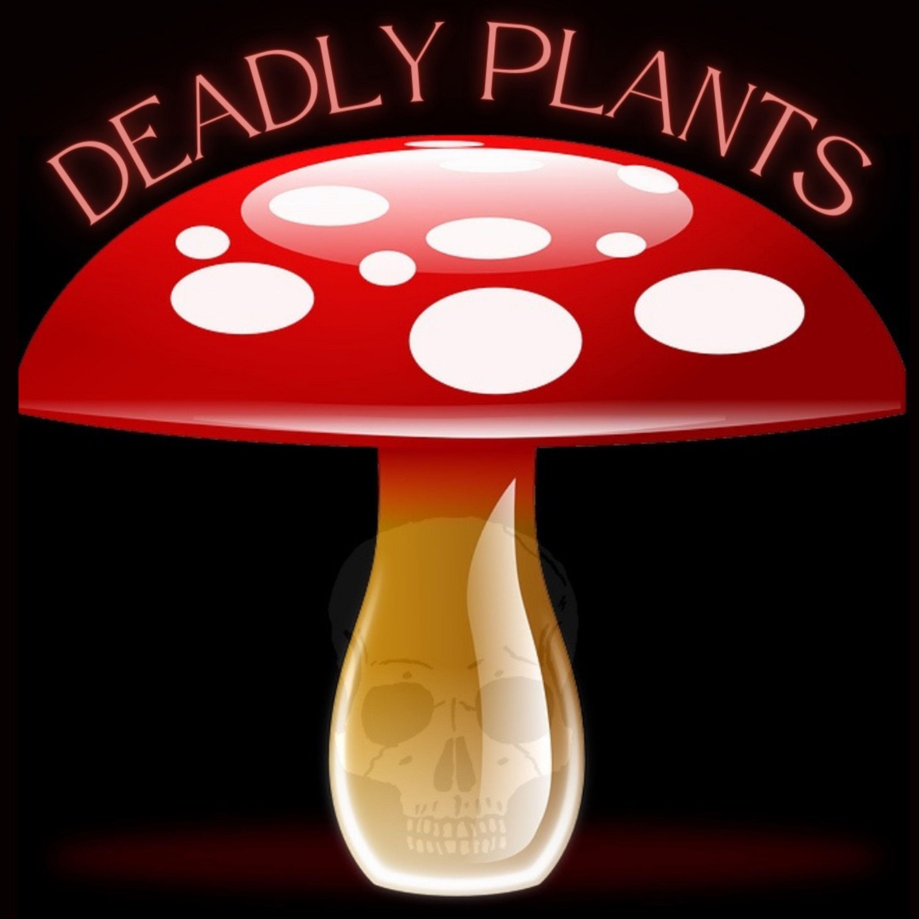 Deadly Plants: From Belladonna to the Gympie-Gympie