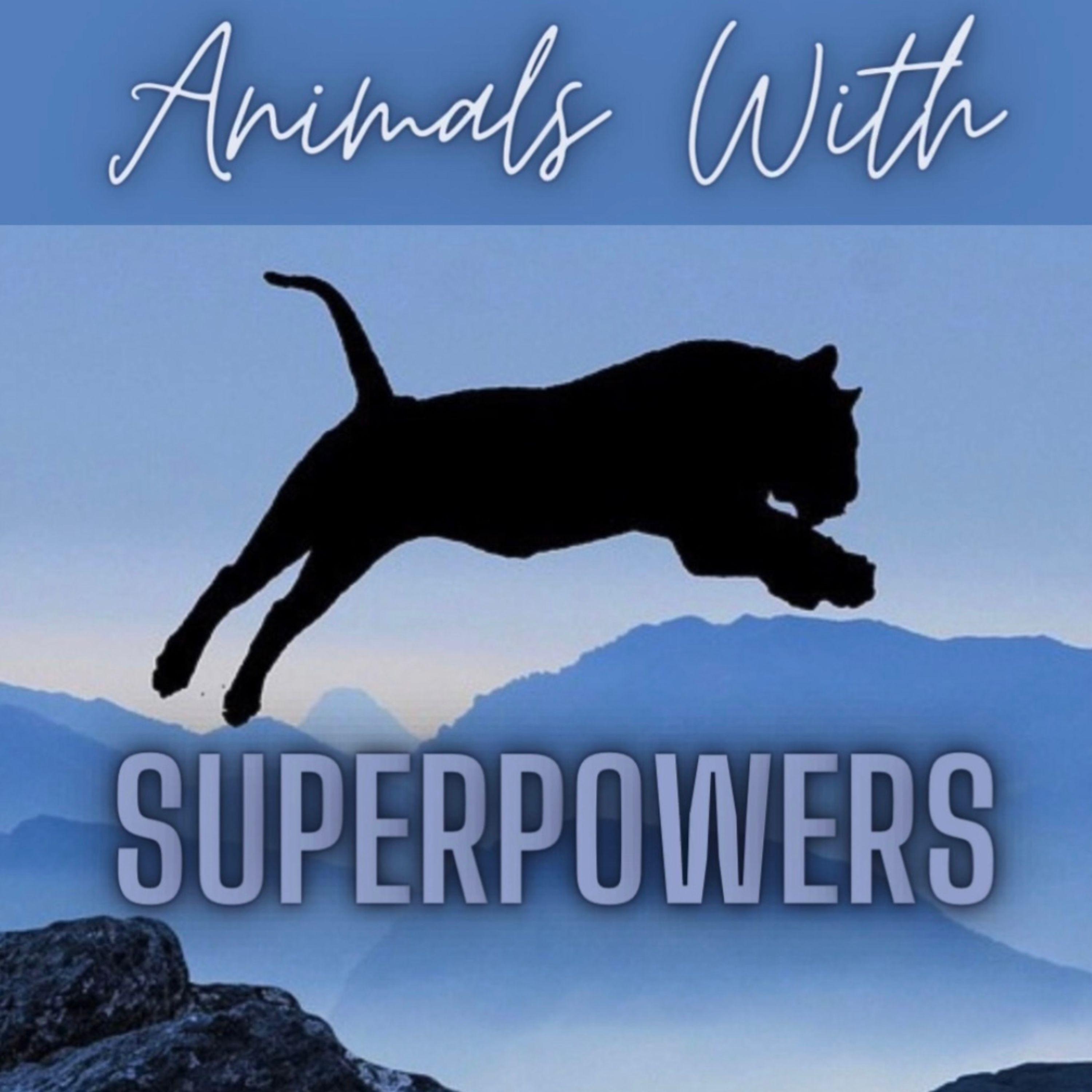 Animals with Superpowers