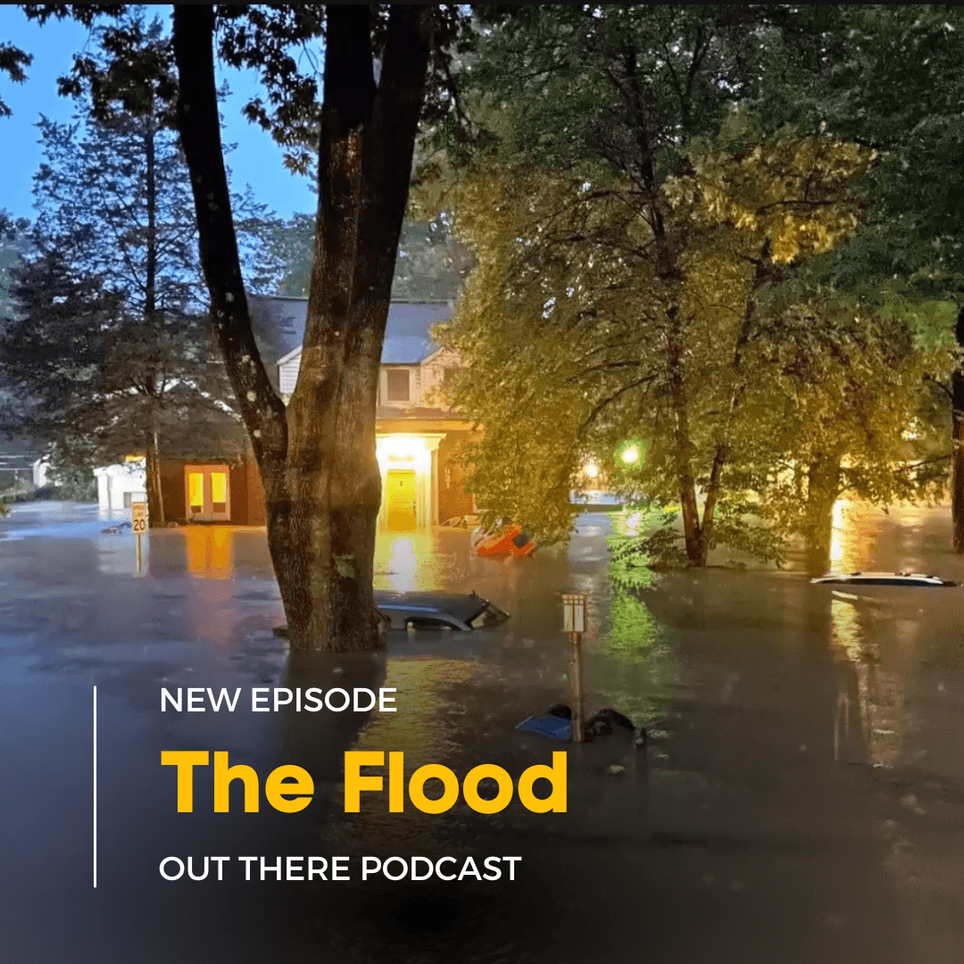 The Flood