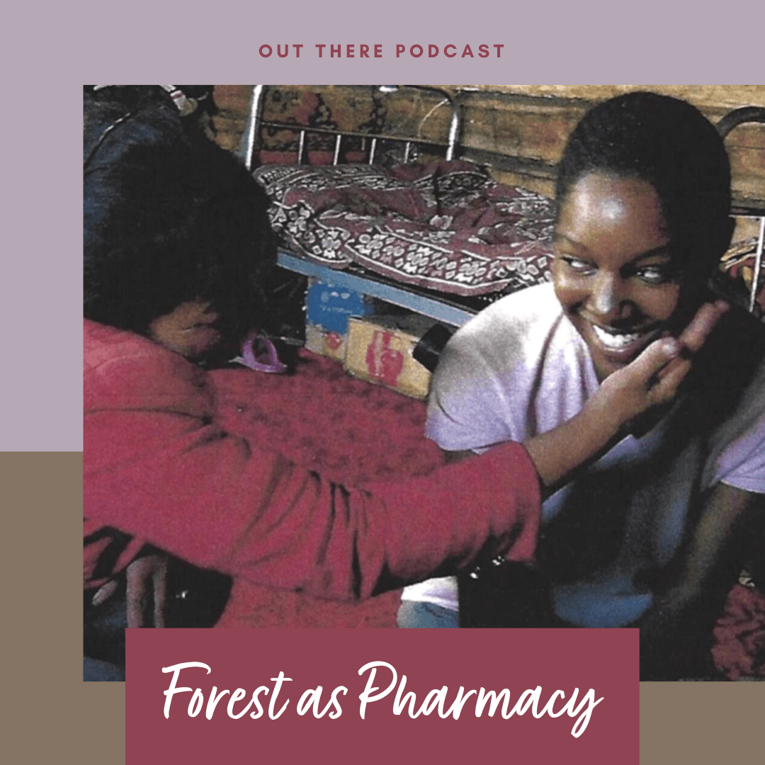 Forest as Pharmacy