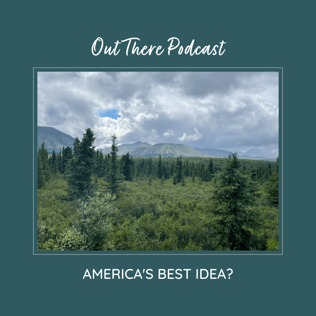 America's Best Idea?