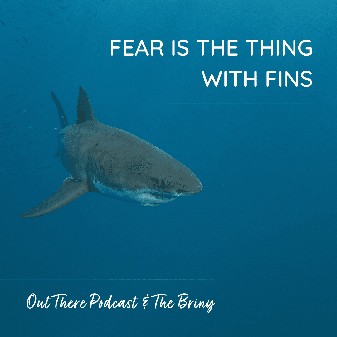 Fear is the Thing with Fins