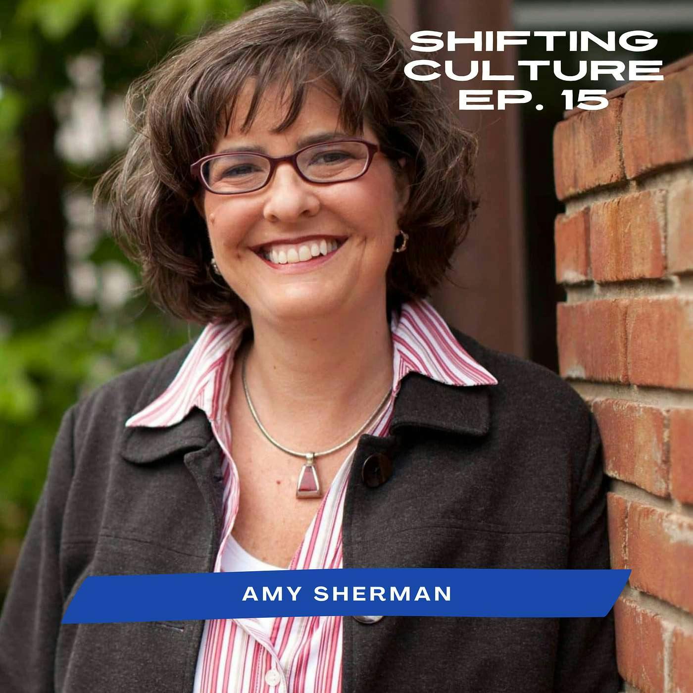 Ep. 15 Amy L. Sherman - Holistic Transformation, the Capacity to Bring Capacity